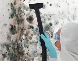 Best Mold Documentation for Insurance Claims in Thorndale, TX